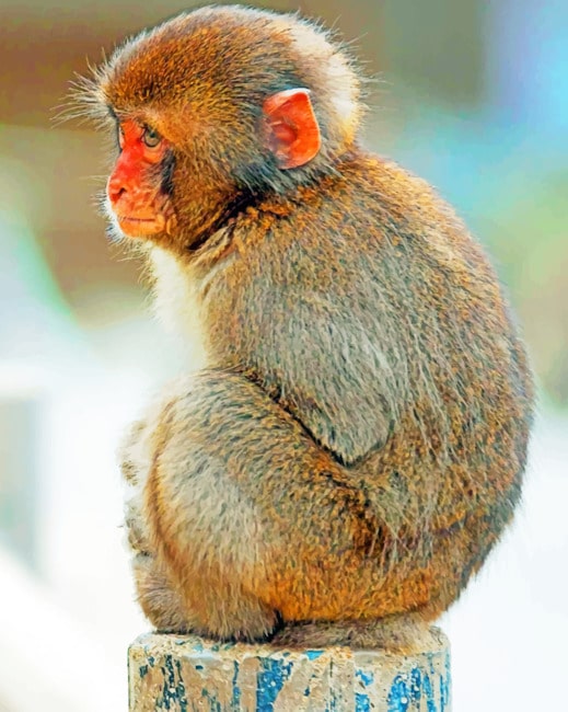 Finalizing Charming Macaque Artwork