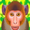 Macaque Wildlife Paint By Numbers