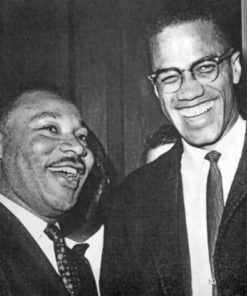 Martin Luther King and Malcolm X Monochrome Paint By Numbers