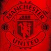 Manchester United Football Paint By Numbers