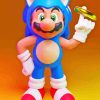 Mario Sonic Video Game Paint By Numbers