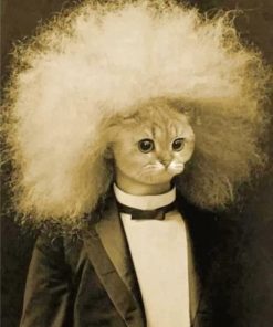 Mr Cat Einstein Paint By Numbers