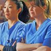 Grey's Anatomy Duo Paint By Numbers