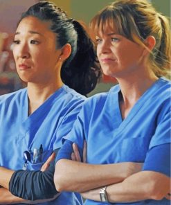 Grey's Anatomy Duo Paint By Numbers