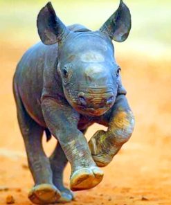 Baby Rhino Adventure Paint By Numbers