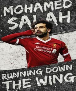 Football Icon Mohamed Salah Paint By Numbers
