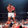 Muhammad Ali Boxing Legend Paint By Numbers