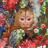 Colorful Monkey Smoking Paint By Numbers