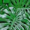Green Monstera Paint By Numbers