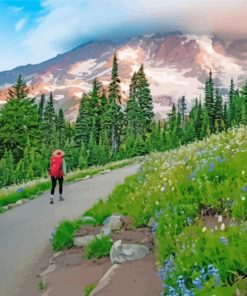 Mount Rainier Landscapes Paint By Numbers