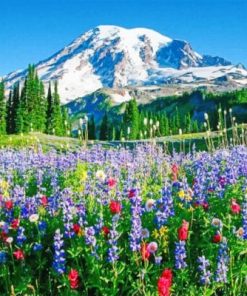 Mount Rainier Nature Landscape Paint By Numbers