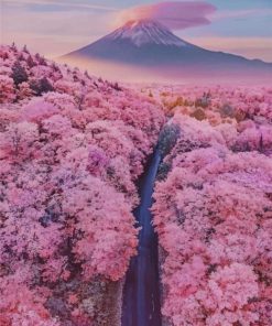 Mt Fuji Cherry Blossoms Japan Paint By Numbers