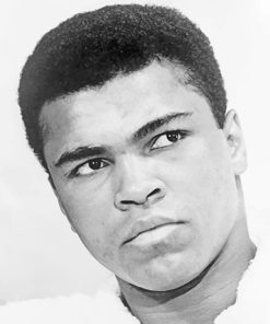 Muhammad Ali Boxing Legend Paint By Numbers