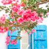 Mykonos Pink Flower Scenery Paint By Numbers
