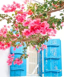 Mykonos Pink Flower Scenery Paint By Numbers