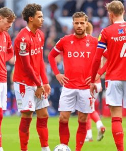 Nottingham Forest Football Paint By Numbers