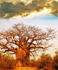 Majestic Baobab Landscapes Paint By Numbers