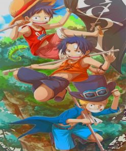 One Piece Anime Art Paint By Numbers