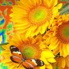 Sunflower Butterfly Paint By Numbers