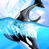 Orca Whale Animals Paint By Numbers