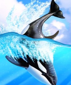 Orca Whale Animals Paint By Numbers