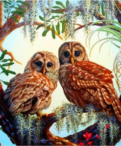 Majestic Owls Eastern Screech Paint By Numbers