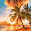 Sunset Palm Trees Beach Paint By Numbers