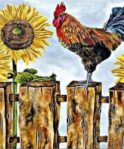 Cock and Sunflower Birds Paint By Numbers