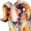 Ram Male Sheep Paint By Numbers