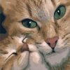 Mommy Cat Modern Paint By Numbers