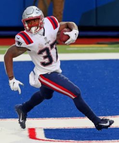 New England Patriots Football Paint By Numbers