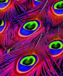 Peacock Feather Masterpiece Paint By Numbers
