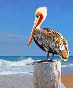Pelican Bird Animals Paint By Numbers