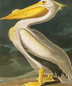 Aesthetic Pelican Art Paint By Numbers