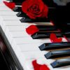 Piano and Roses Paint By Numbers