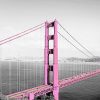 Golden Gate Bridge Pink Paint By Numbers