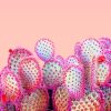 Pink Cactus Design Paint By Numbers