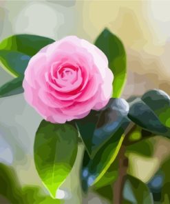 Pink Camellia Flower Paint By Numbers