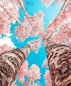 Pink Cherry Blossom Trees Paint By Numbers