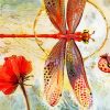 Pink Dragonflies Paint By Numbers