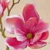 Pink Magnolia Blossom Paint By Numbers