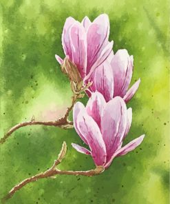 Pink Magnolia Flowers Paint By Numbers