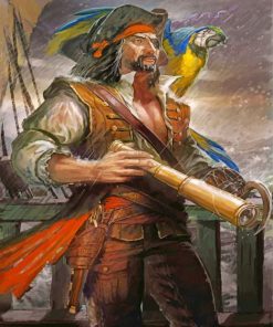 Macaw Pirate Paint By Numbers