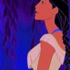 Pocahontas Disney Classic Paint By Numbers