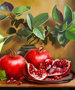 Pomegranate Delight Paint By Numbers