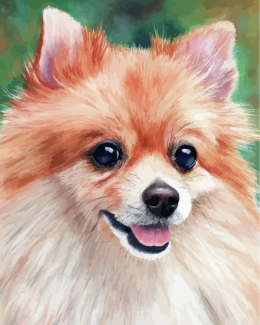 Step 3: Finalize Pomeranian Dog Paint By Numbers Artwork
