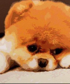 Pomeranian Puppy Animal Art Paint By Numbers