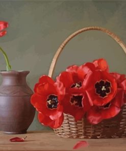 Poppies Floral Paint By Numbers