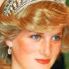 Princess Diana Iconic Paint By Numbers