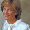 Princess Diana Tribute Paint By Numbers